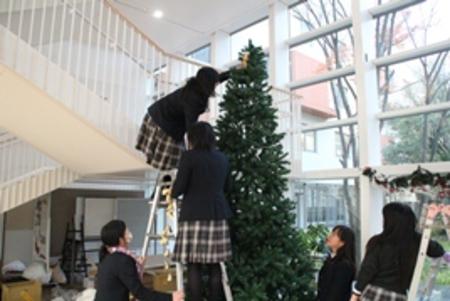 Twinkling Christmas Trees have come to our school！ 
