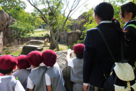 【子ども教育コース】奈良文化幼稚園の遠足に参加しました