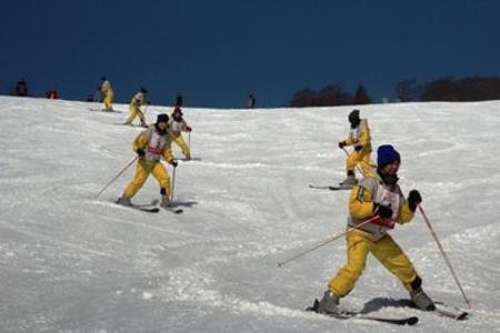 スキー実習に行ってきました！